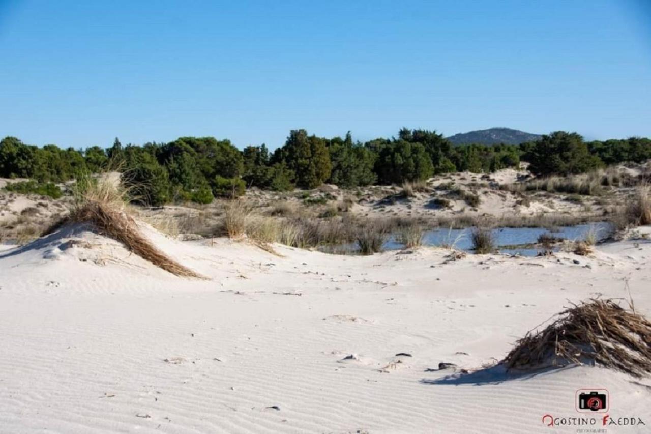 Casa Vacanza Le Dune Vila SantʼAnna Arresi Exterior foto